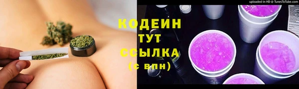 дживик Балахна
