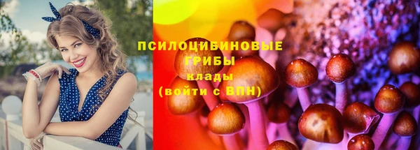 дживик Балахна
