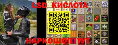 дмт Будённовск