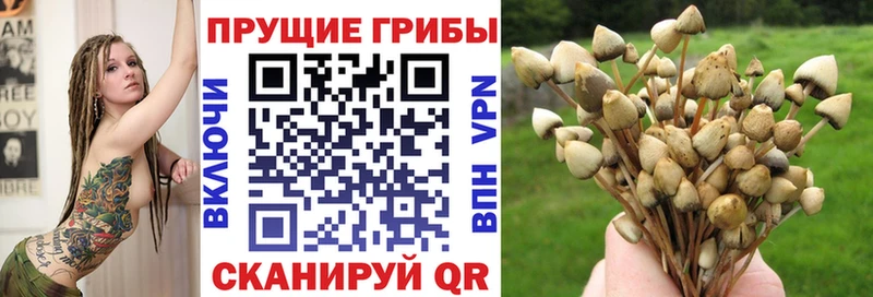Псилоцибиновые грибы Psilocybine cubensis наркота Белогорск