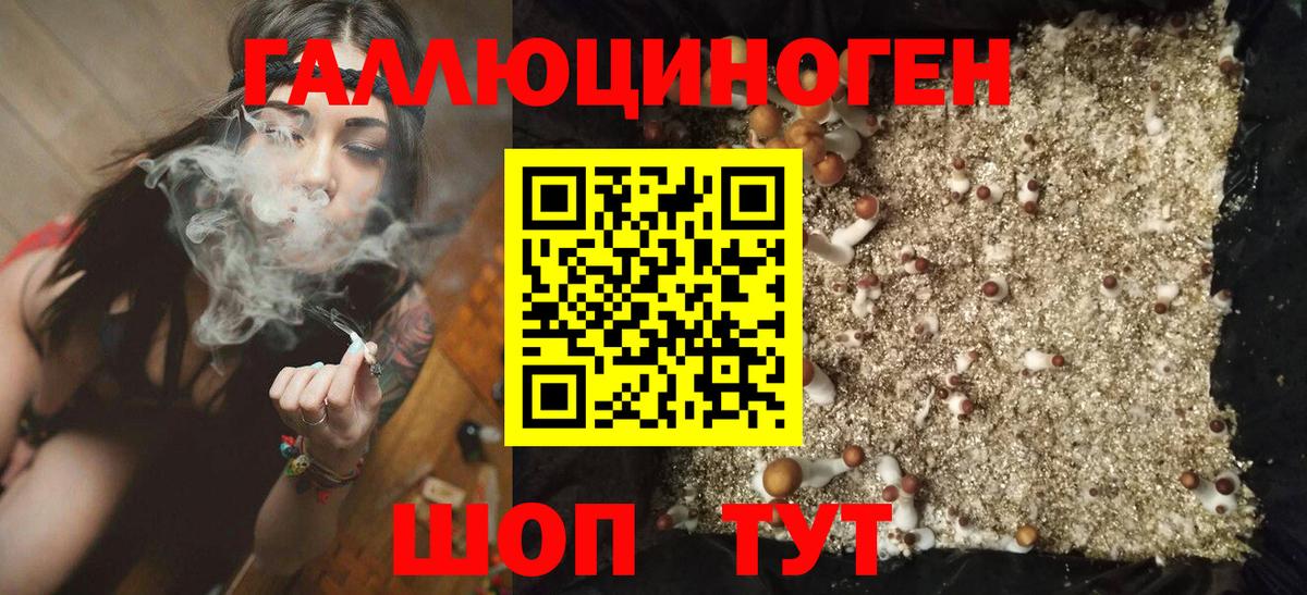 Галлюциногенные грибы GOLDEN TEACHER  Вход с VPN  Белогорск 