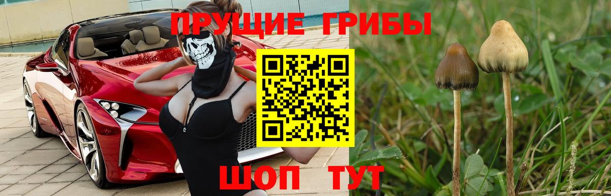 Галлюциногенные грибы прущие грибы Белогорск